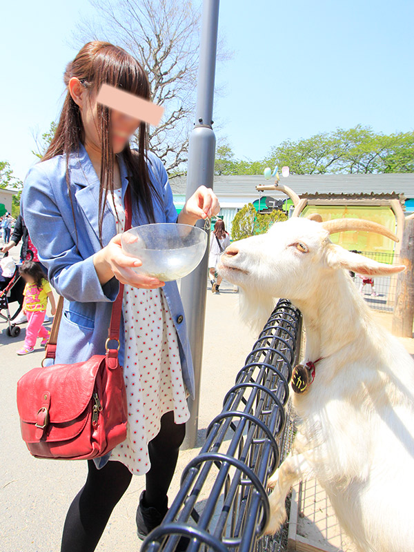 東武動物公園