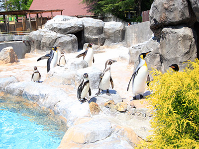 東武動物公園