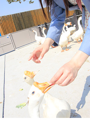 東武動物公園