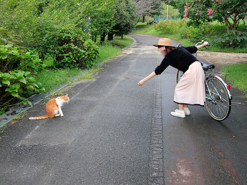 彩湖・道満グリーンパーク