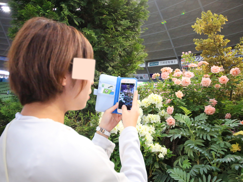 国際薔薇とガーデニンショー