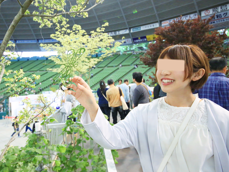 国際薔薇とガーデニンショー