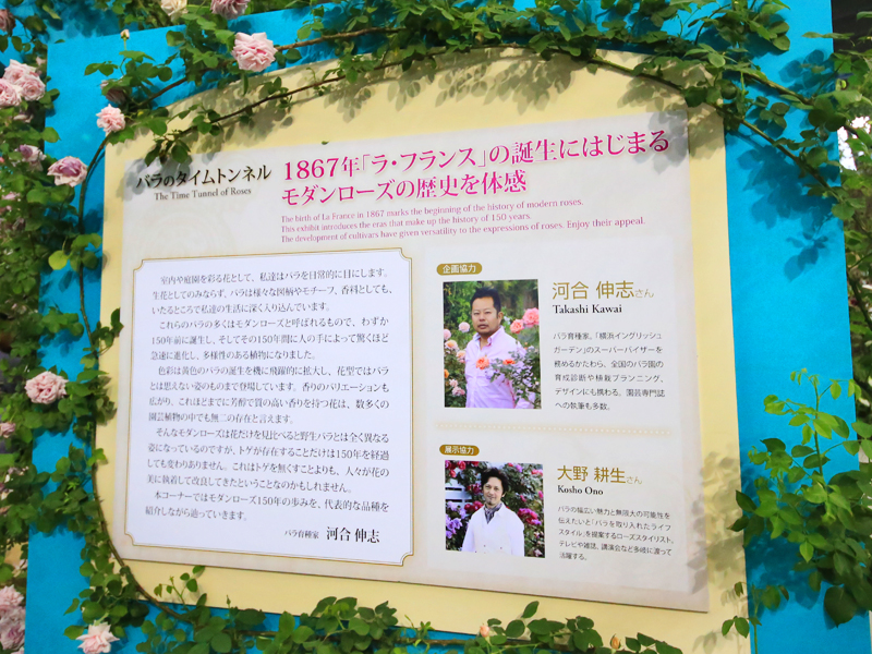国際薔薇とガーデニンショー
