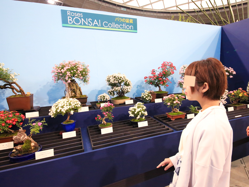国際薔薇とガーデニンショー