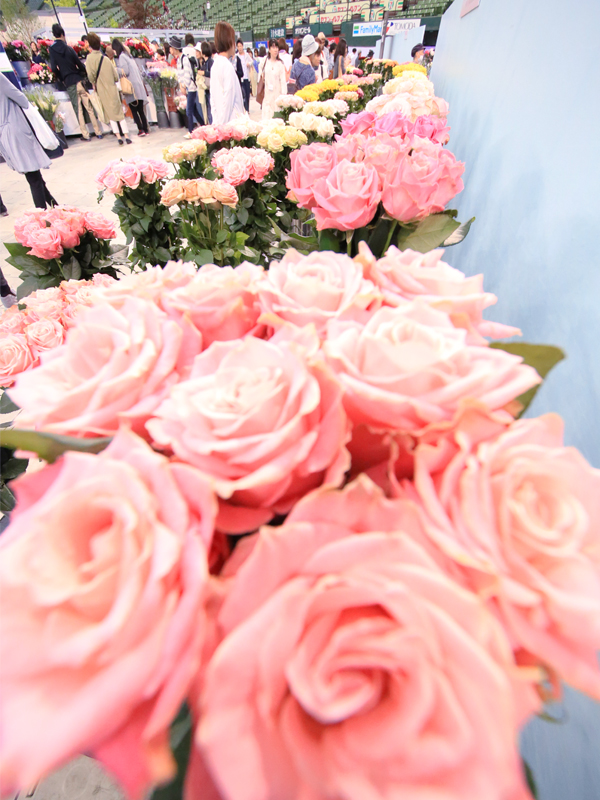 国際薔薇とガーデニンショー