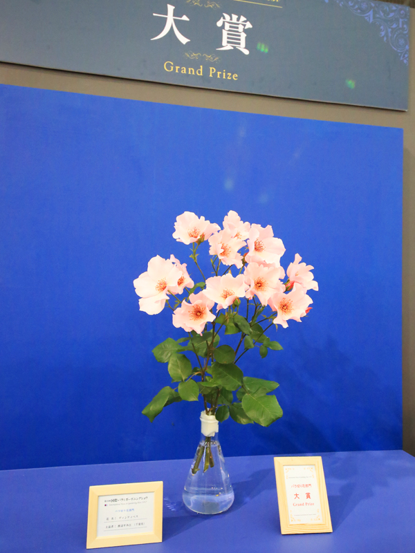 国際薔薇とガーデニンショー