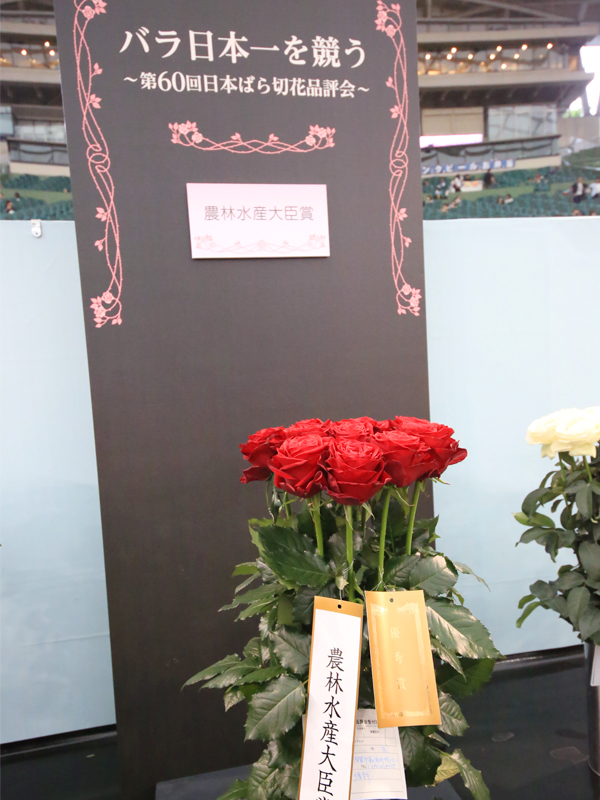 国際薔薇とガーデニンショー
