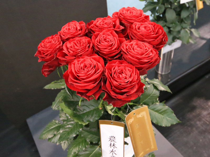 国際薔薇とガーデニンショー