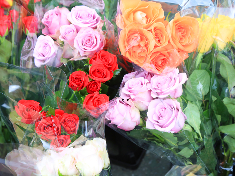 国際薔薇とガーデニンショー