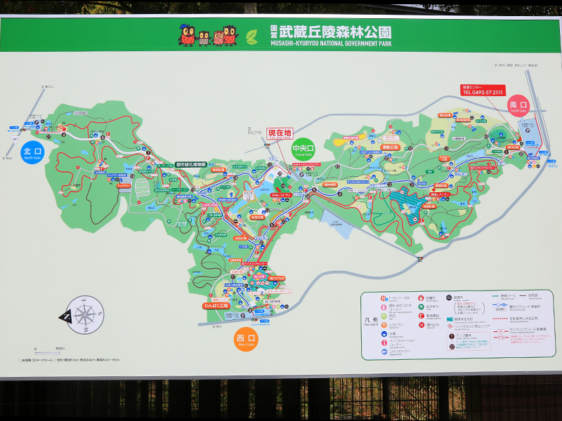 国営武蔵丘陵森林公園