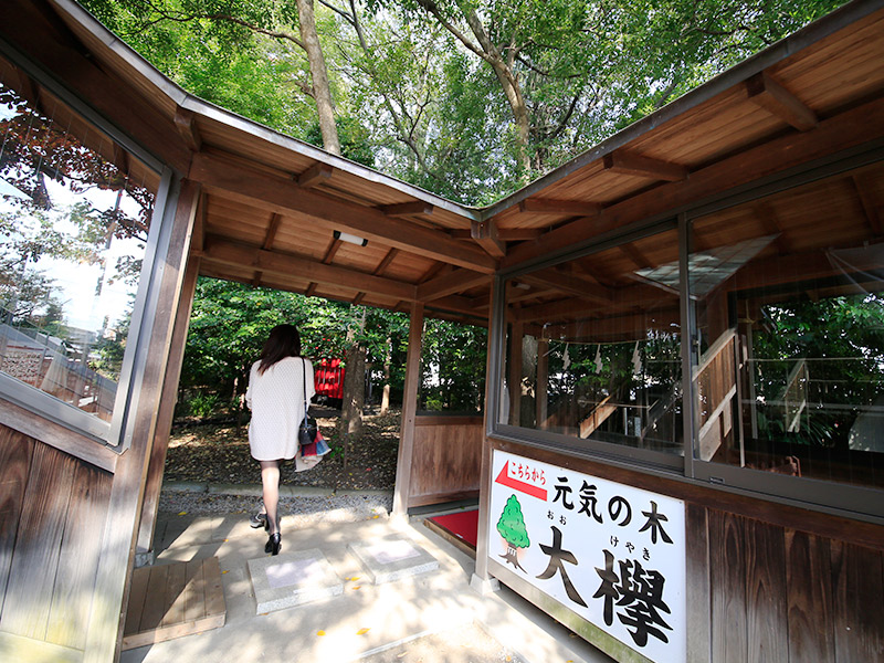 氷川神社編パート1