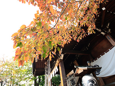 氷川神社編パート1