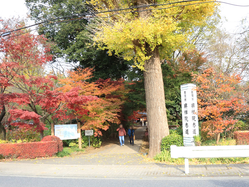 川口紅葉散策