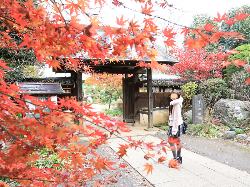 川口紅葉散策