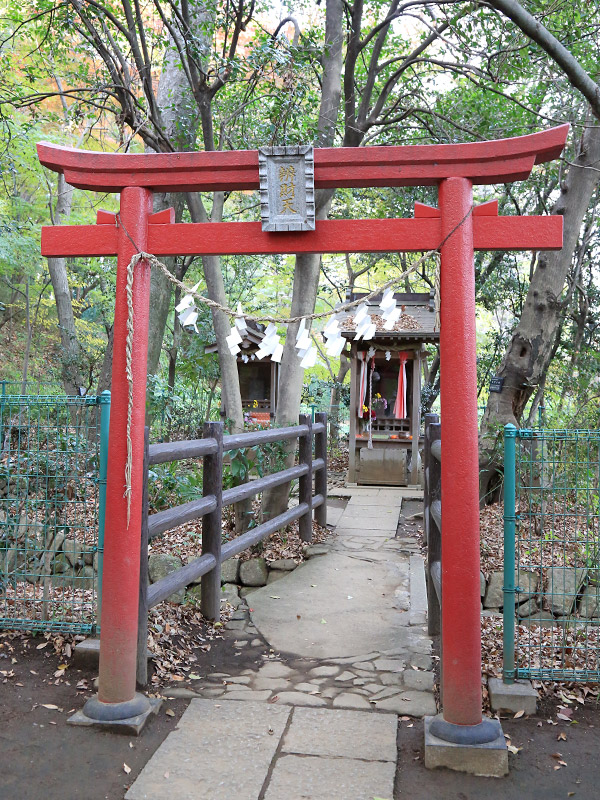 川口紅葉散策