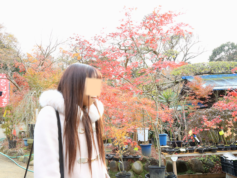 川口紅葉散策