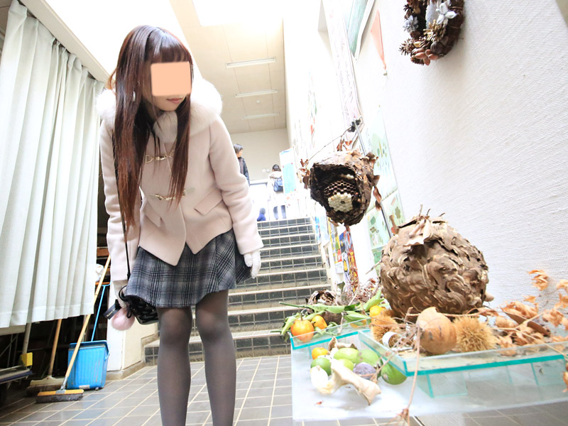 川口紅葉散策