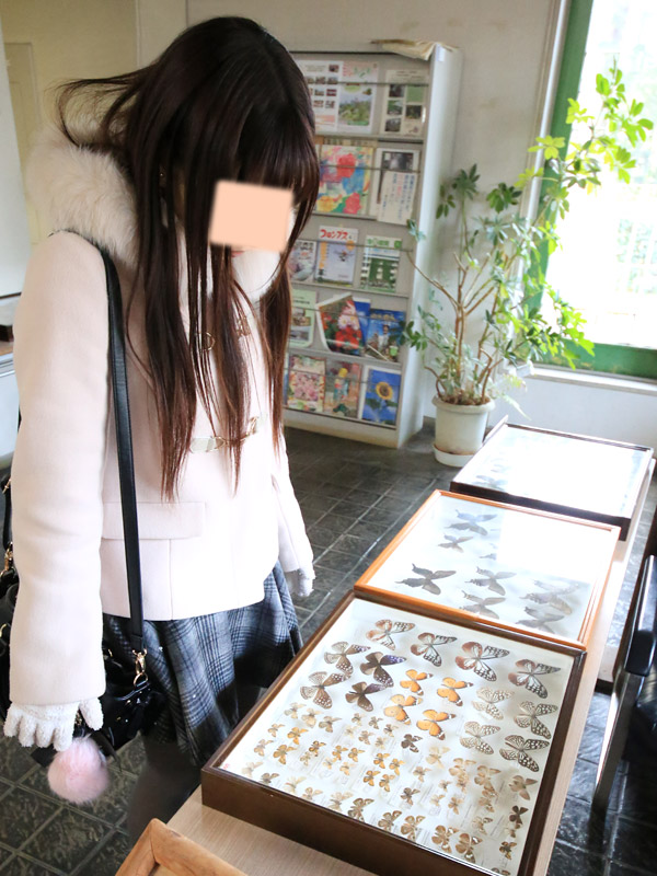 川口紅葉散策