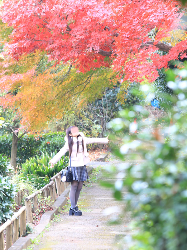 川口紅葉散策
