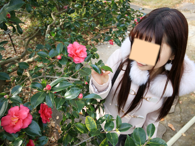 川口紅葉散策