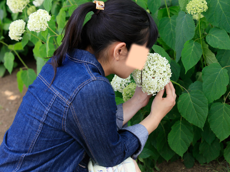 白間りほ 染谷花しょうぶ園