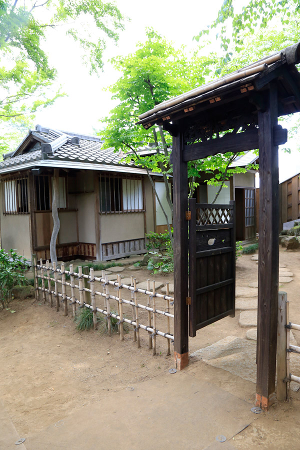 白間りほ 染谷花しょうぶ園