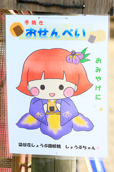 白間りほ 染谷花しょうぶ園