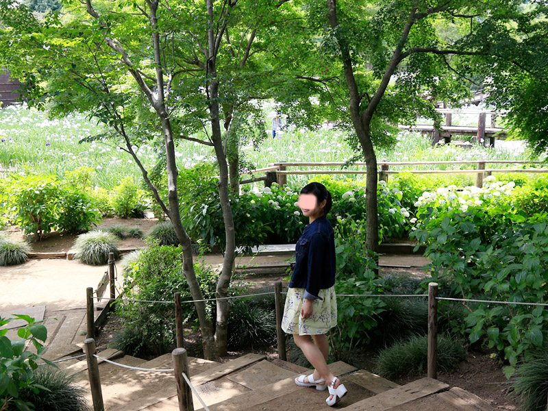 白間りほ 染谷花しょうぶ園