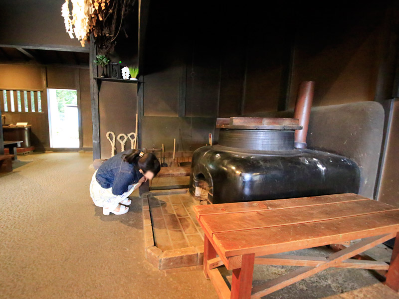 白間りほ 見沼くらしっく館