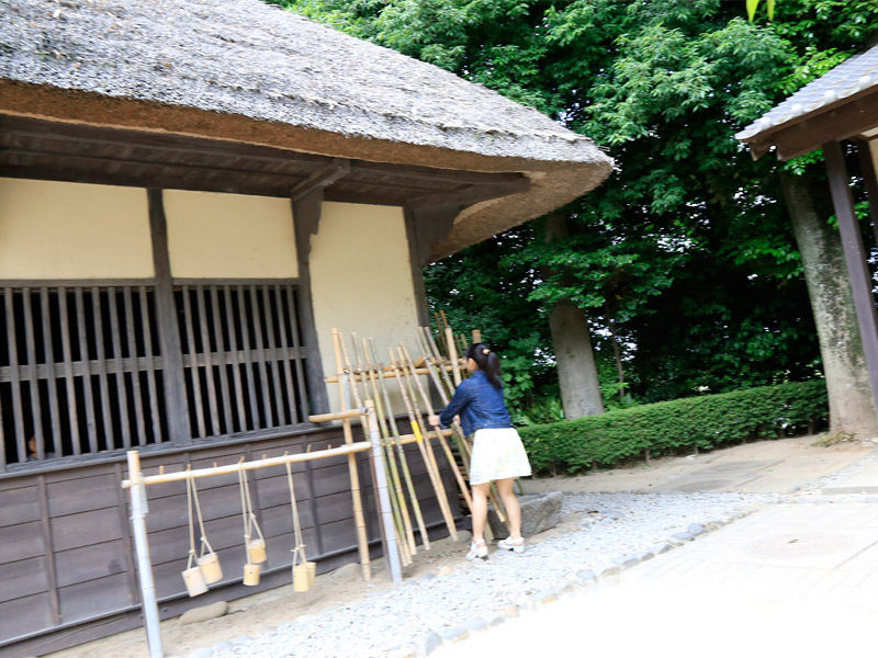 白間りほ 見沼くらしっく館
