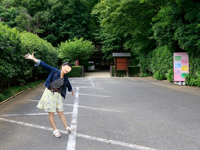白間りほ 見沼くらしっく館