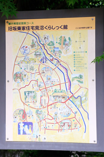 白間りほ 見沼くらしっく館