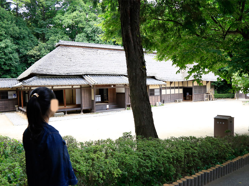 白間りほ 見沼くらしっく館