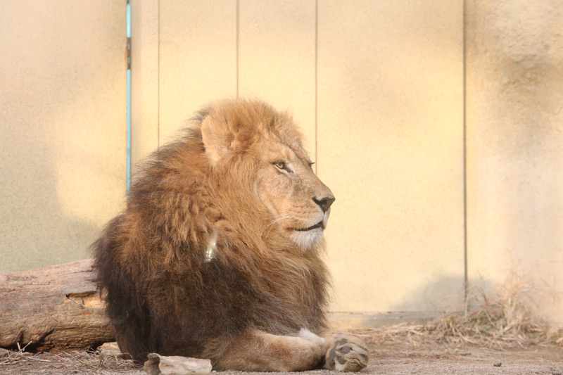東武動物公園その1