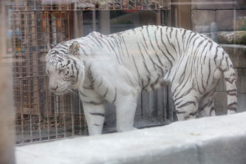 東武動物公園その1