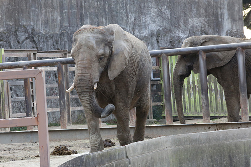 東武動物公園その1