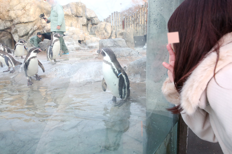 東武動物公園その1