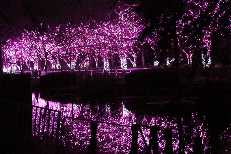 東武動物公園その2