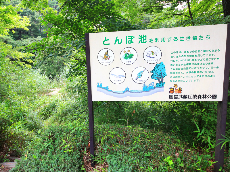 国営武蔵丘陵森林公園