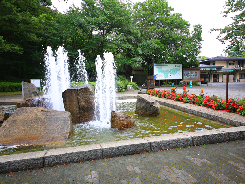 国営武蔵丘陵森林公園