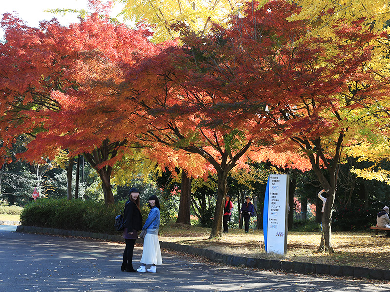 所沢航空記念公園