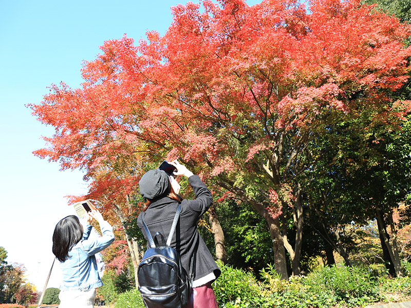 所沢航空記念公園