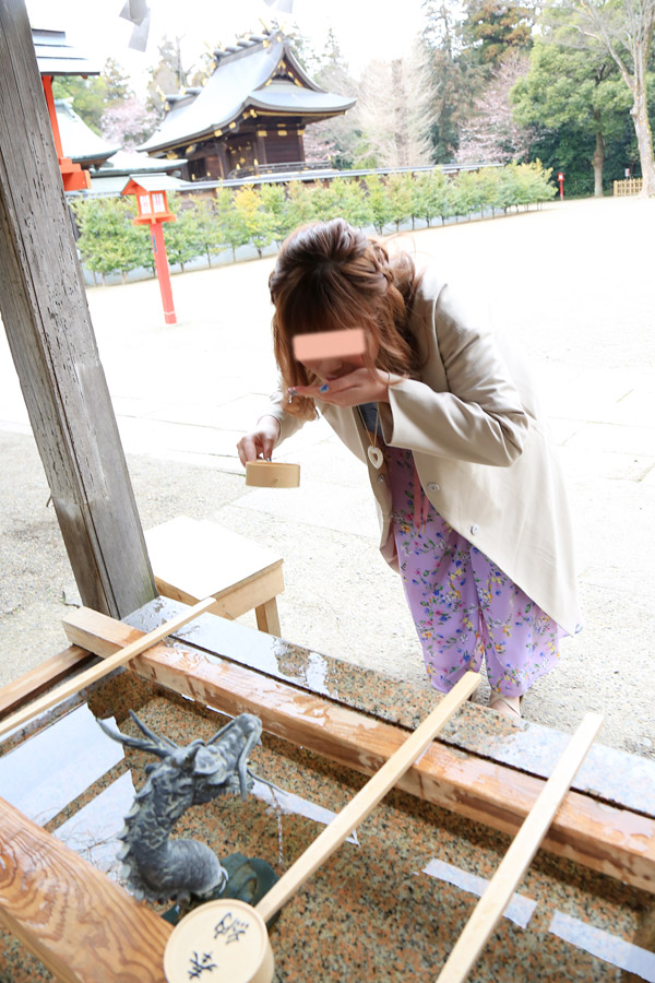 鷲宮神社 お花見