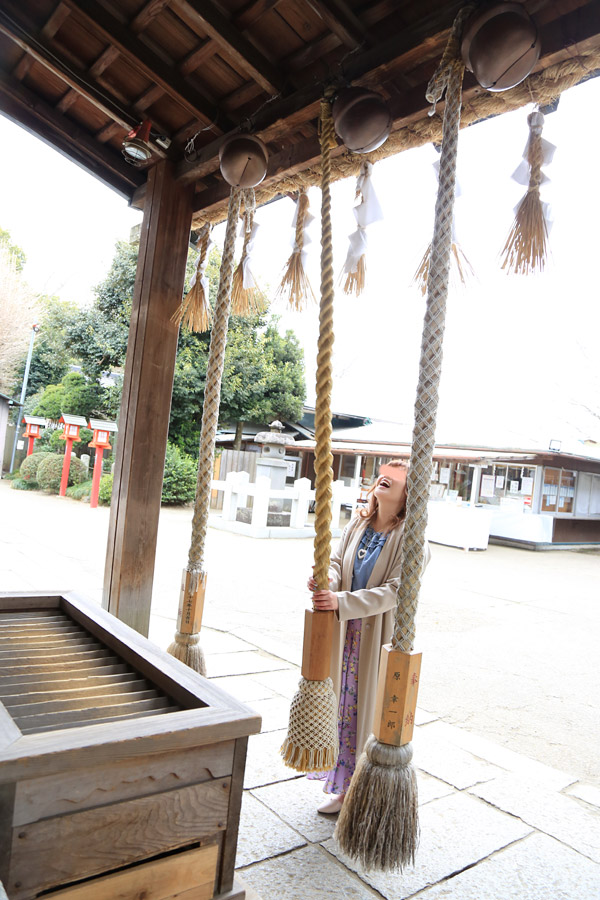 鷲宮神社 お花見