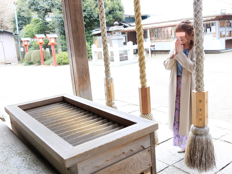 鷲宮神社 お花見