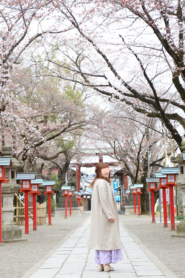 鷲宮神社 お花見