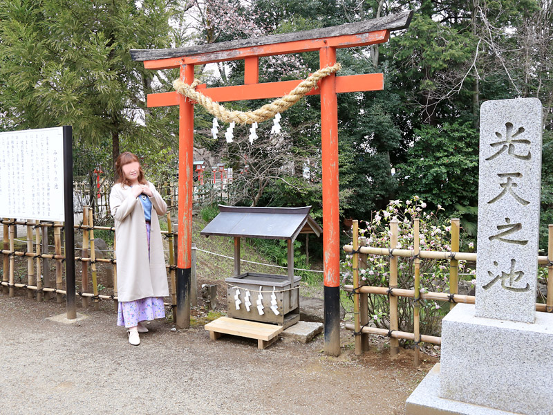 鷲宮神社 お花見