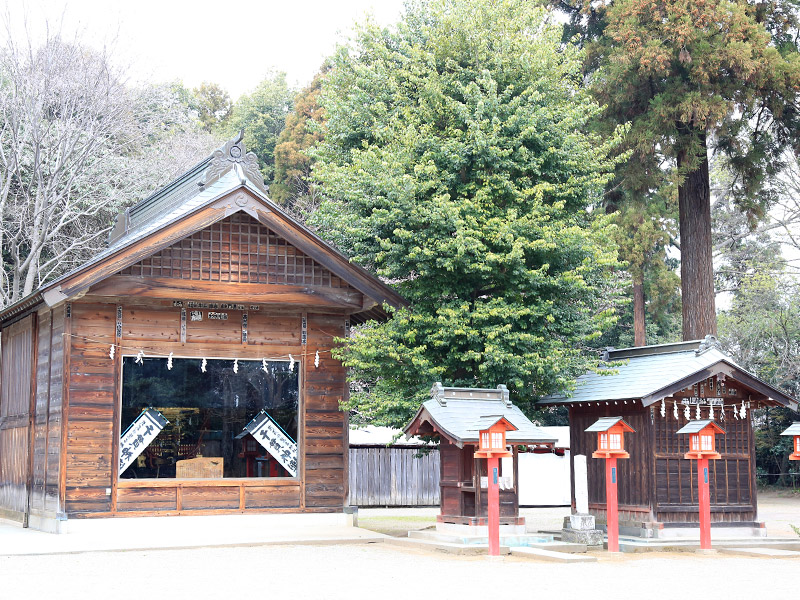 鷲宮神社 お花見