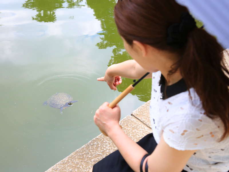 埼玉県北浦和公園