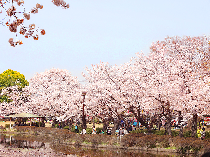 岩槻城址公園
